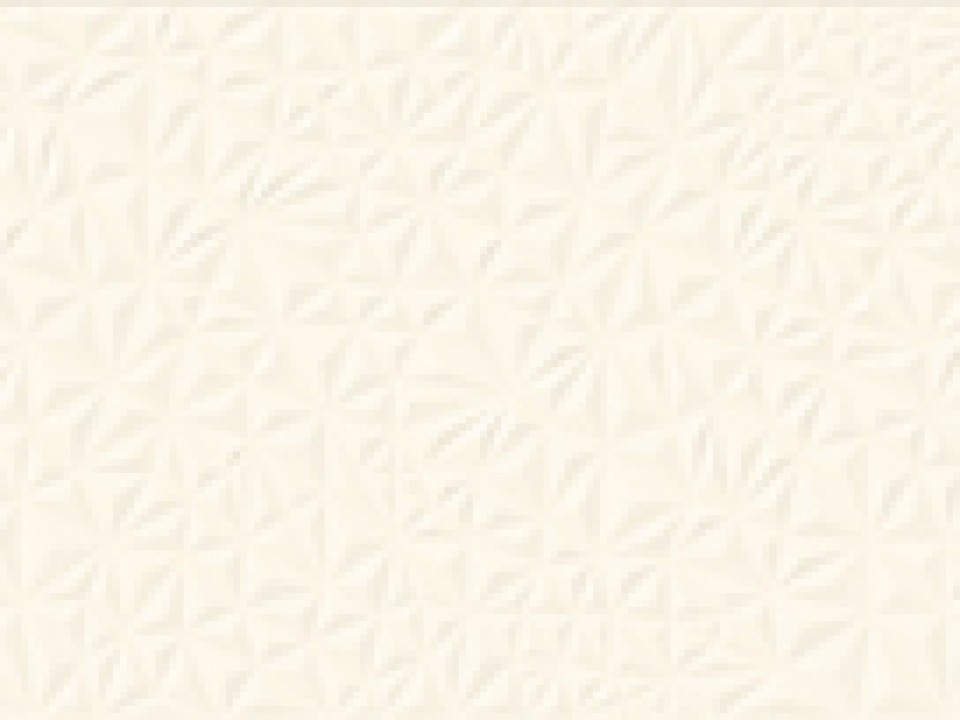 49148.jpg