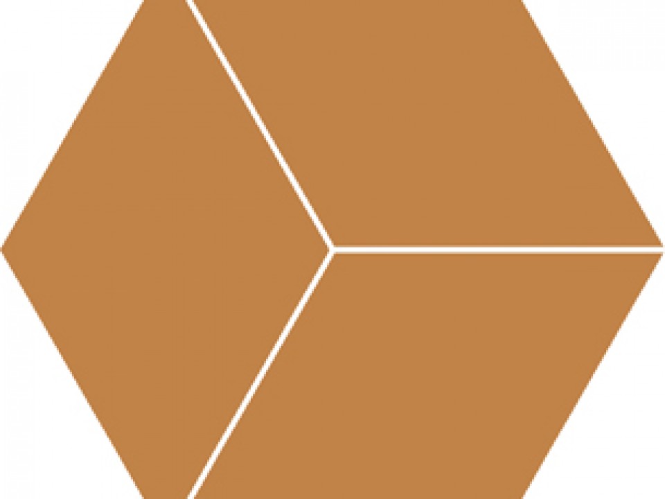 51892-uni-caril-matt-r10-hexagon-197x197-mosaic-p21