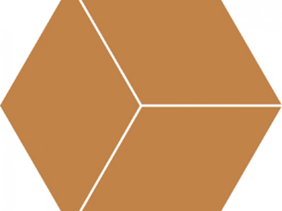 51892-uni-caril-matt-r10-hexagon-197x197-mosaic-p21