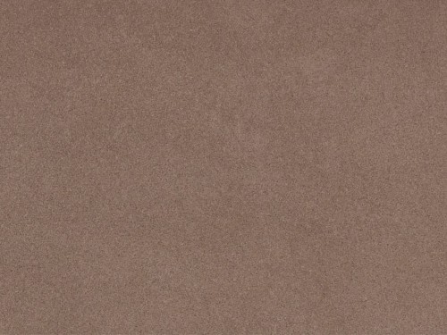 torchis marrone